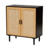 Maureen Wood And Rattan 2 Door Storage Cabinet Espresso/Natural Brown - Baxton Studio